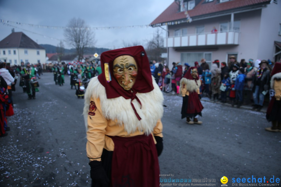 Fasnetsumzug - Fasching: Obereisenbach am Bodensee, 03.02.2018