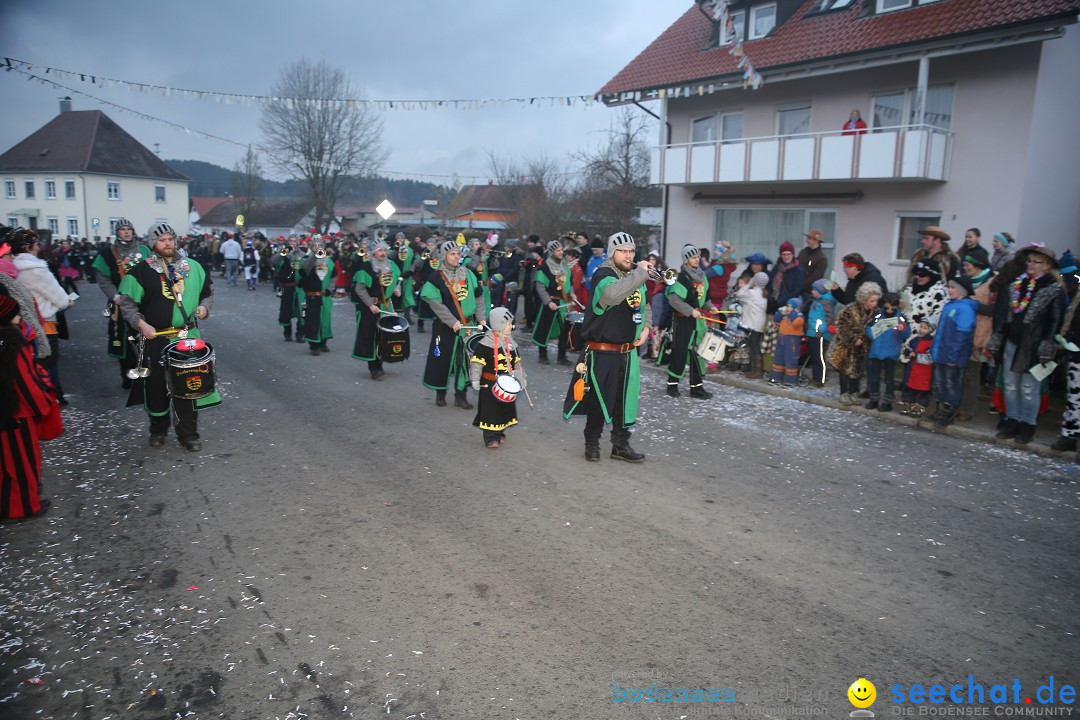 Fasnetsumzug - Fasching: Obereisenbach am Bodensee, 03.02.2018