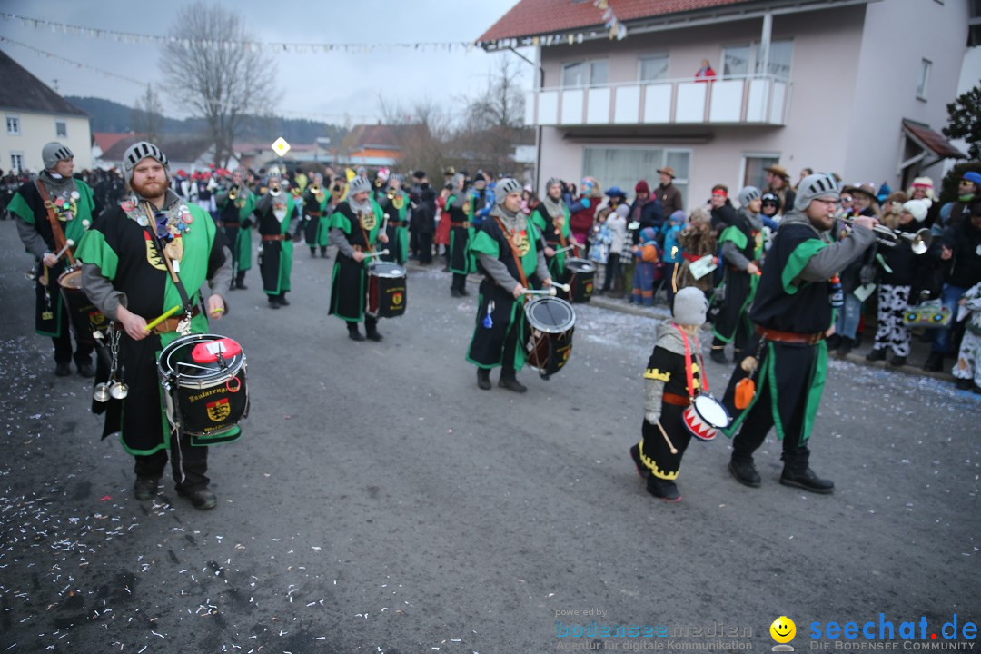 Fasnetsumzug - Fasching: Obereisenbach am Bodensee, 03.02.2018