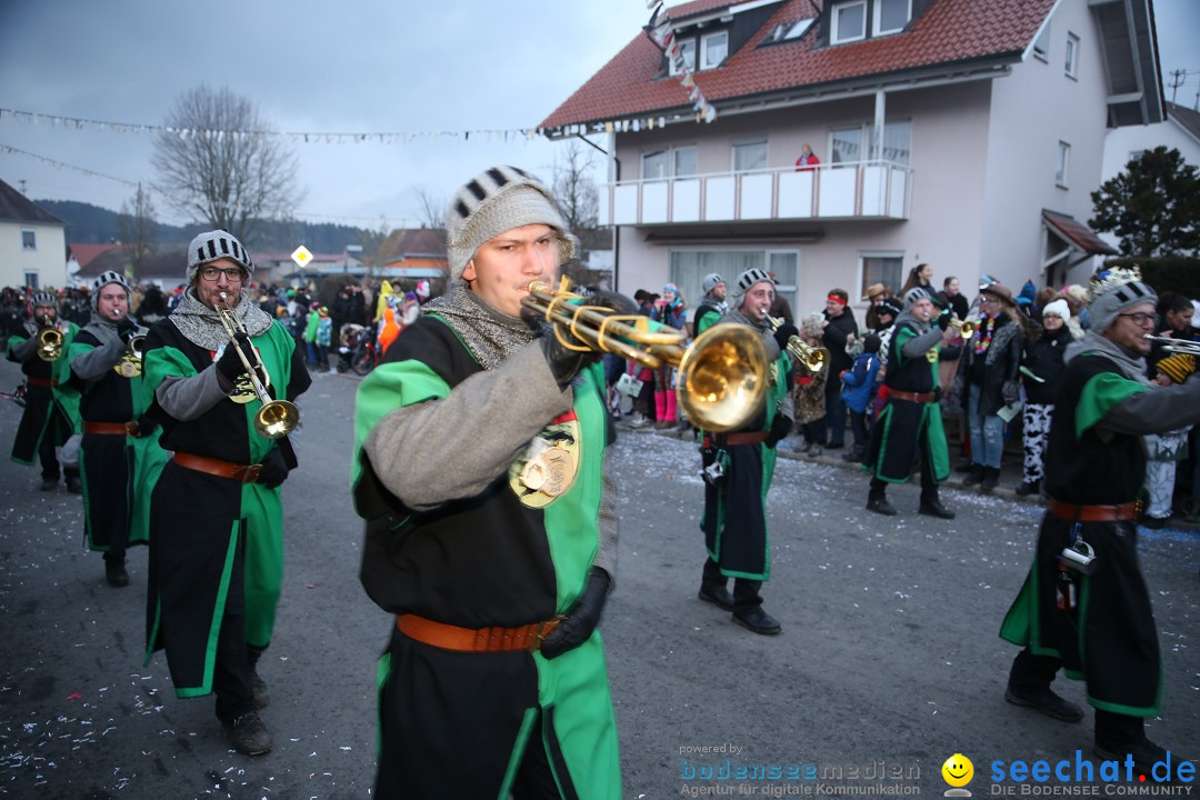 Fasnetsumzug - Fasching: Obereisenbach am Bodensee, 03.02.2018