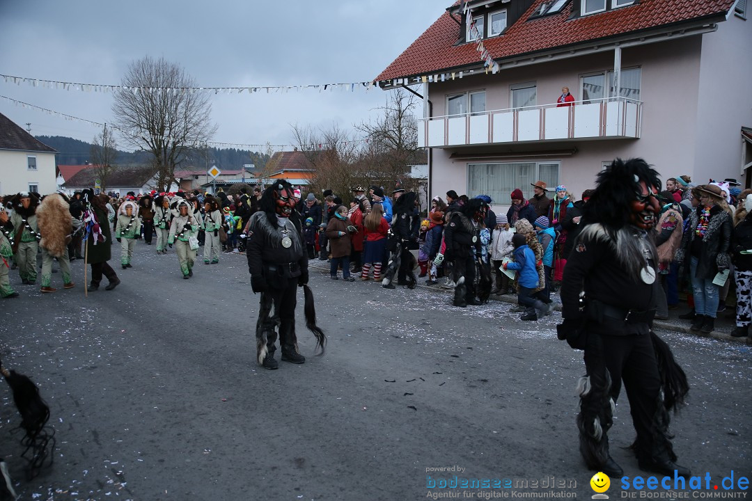 Fasnetsumzug - Fasching: Obereisenbach am Bodensee, 03.02.2018