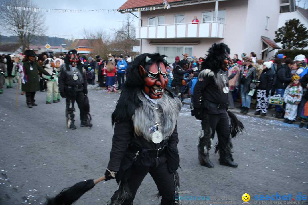 Fasnetsumzug - Fasching: Obereisenbach am Bodensee, 03.02.2018