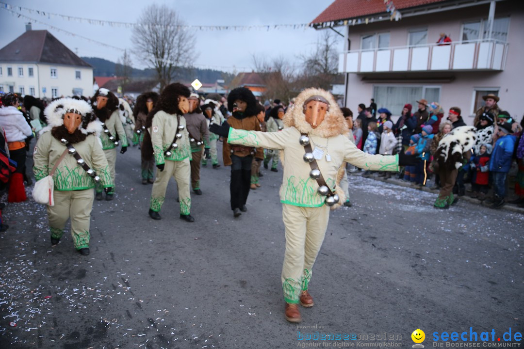 Fasnetsumzug - Fasching: Obereisenbach am Bodensee, 03.02.2018