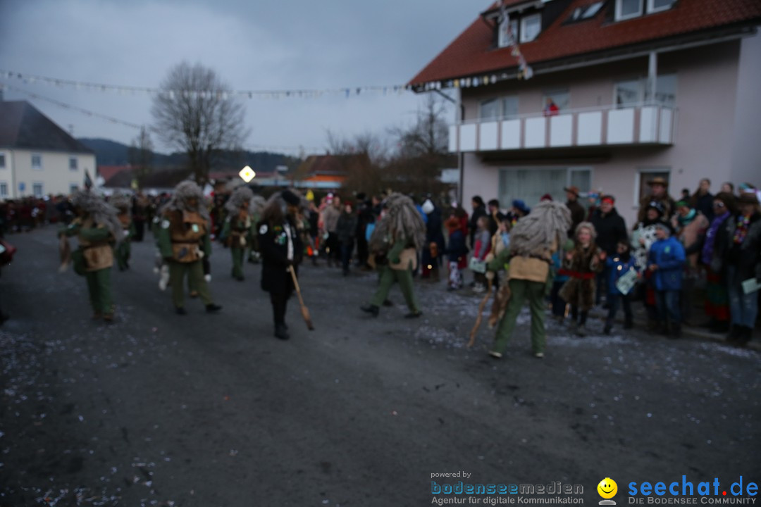 Fasnetsumzug - Fasching: Obereisenbach am Bodensee, 03.02.2018