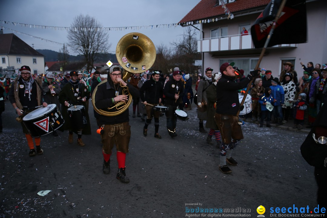 Fasnetsumzug - Fasching: Obereisenbach am Bodensee, 03.02.2018