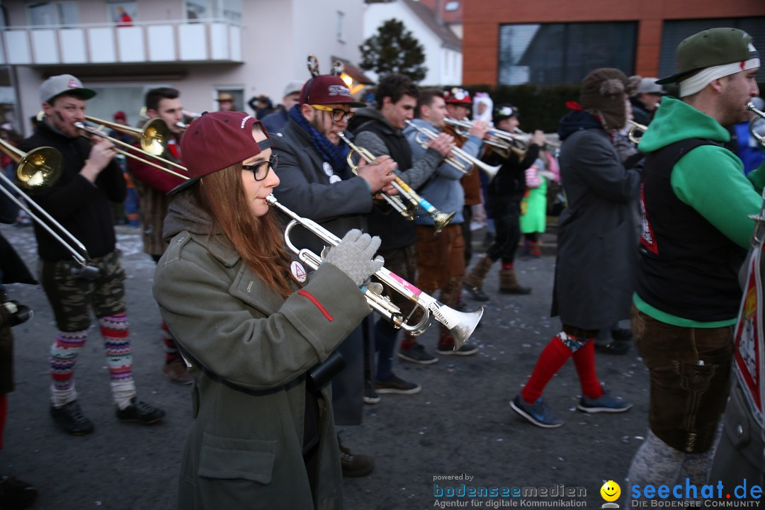 Fasnetsumzug - Fasching: Obereisenbach am Bodensee, 03.02.2018