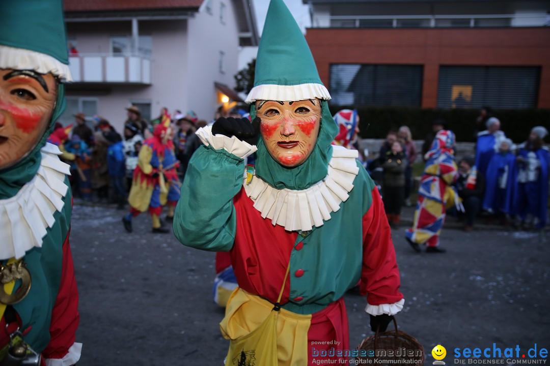 Fasnetsumzug - Fasching: Obereisenbach am Bodensee, 03.02.2018