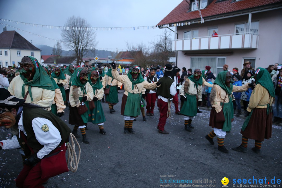 Fasnetsumzug - Fasching: Obereisenbach am Bodensee, 03.02.2018