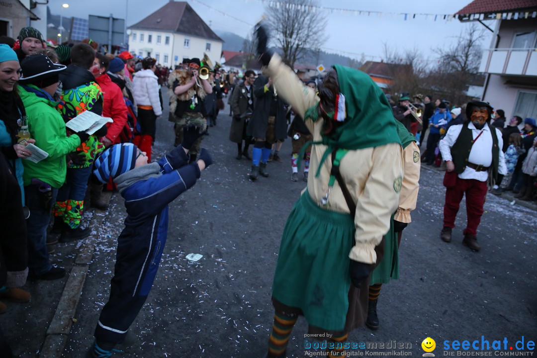 Fasnetsumzug - Fasching: Obereisenbach am Bodensee, 03.02.2018