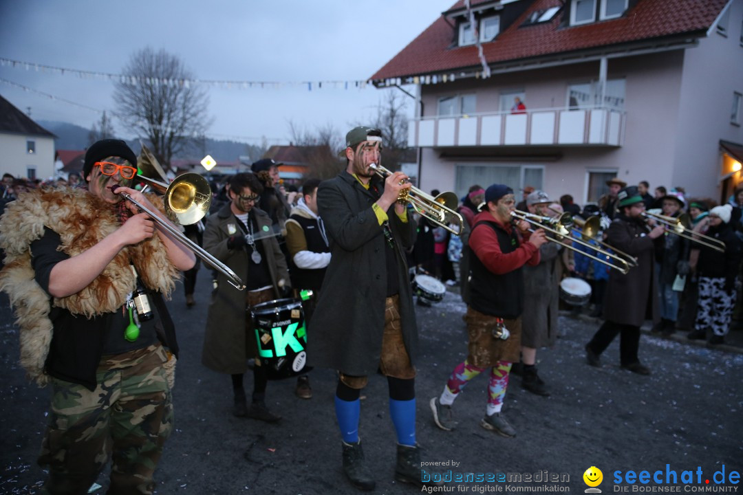 Fasnetsumzug - Fasching: Obereisenbach am Bodensee, 03.02.2018