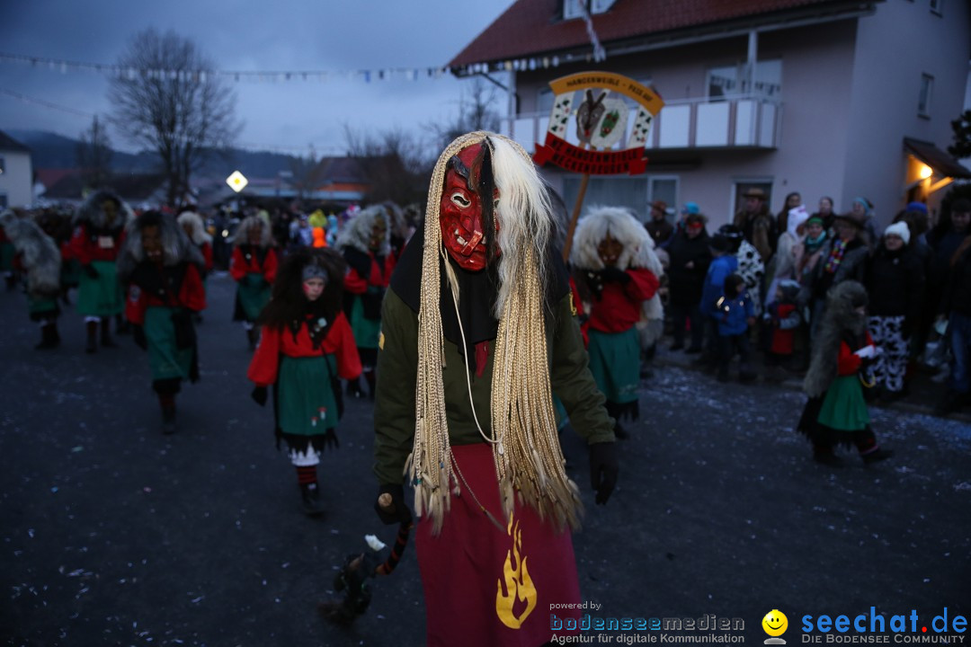 Fasnetsumzug - Fasching: Obereisenbach am Bodensee, 03.02.2018