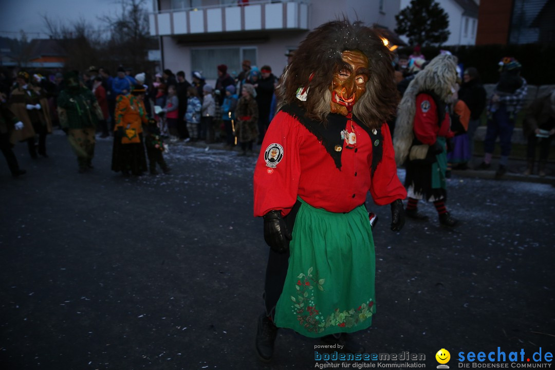 Fasnetsumzug - Fasching: Obereisenbach am Bodensee, 03.02.2018