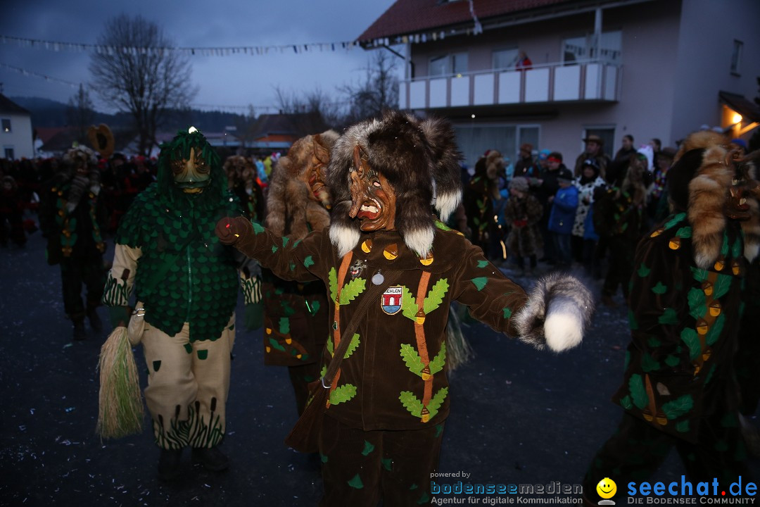 Fasnetsumzug - Fasching: Obereisenbach am Bodensee, 03.02.2018