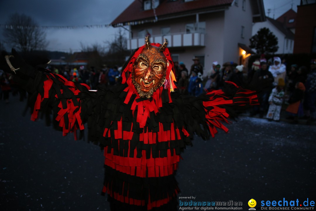 Fasnetsumzug - Fasching: Obereisenbach am Bodensee, 03.02.2018