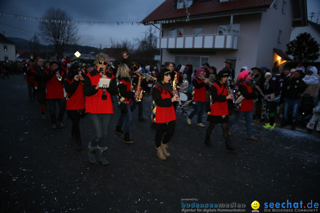 Fasnetsumzug - Fasching: Obereisenbach am Bodensee, 03.02.2018