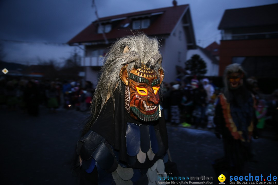 Fasnetsumzug - Fasching: Obereisenbach am Bodensee, 03.02.2018