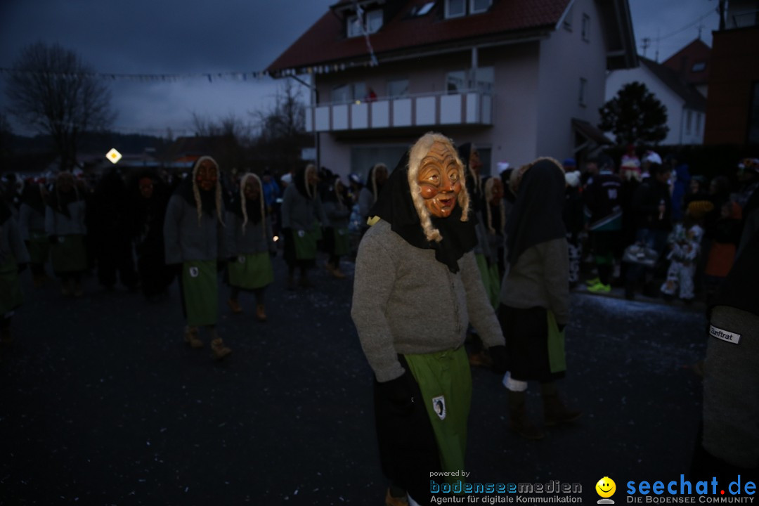 Fasnetsumzug - Fasching: Obereisenbach am Bodensee, 03.02.2018