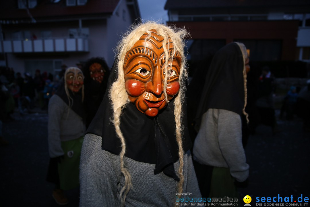 Fasnetsumzug - Fasching: Obereisenbach am Bodensee, 03.02.2018