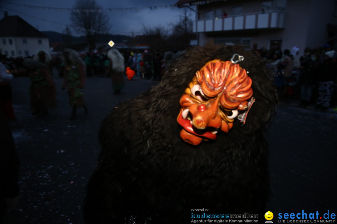 Fasnetsumzug - Fasching: Obereisenbach am Bodensee, 03.02.2018