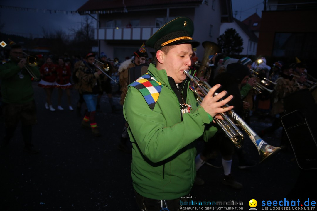 Fasnetsumzug - Fasching: Obereisenbach am Bodensee, 03.02.2018