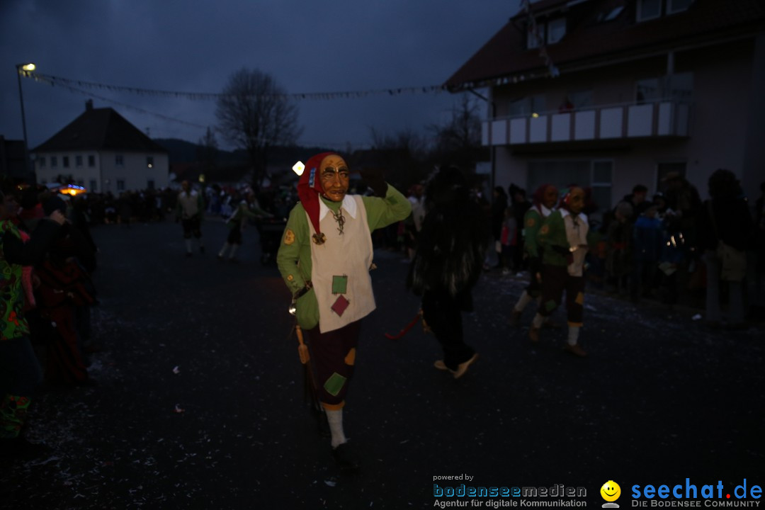 Fasnetsumzug - Fasching: Obereisenbach am Bodensee, 03.02.2018