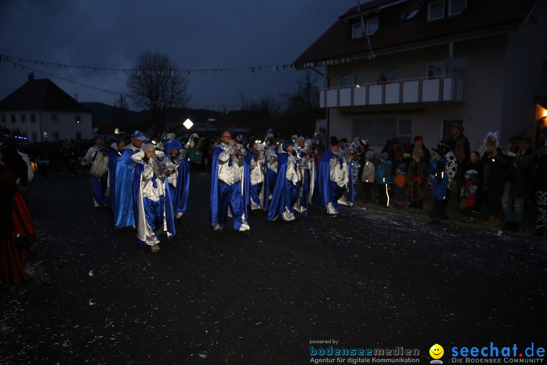 Fasnetsumzug - Fasching: Obereisenbach am Bodensee, 03.02.2018