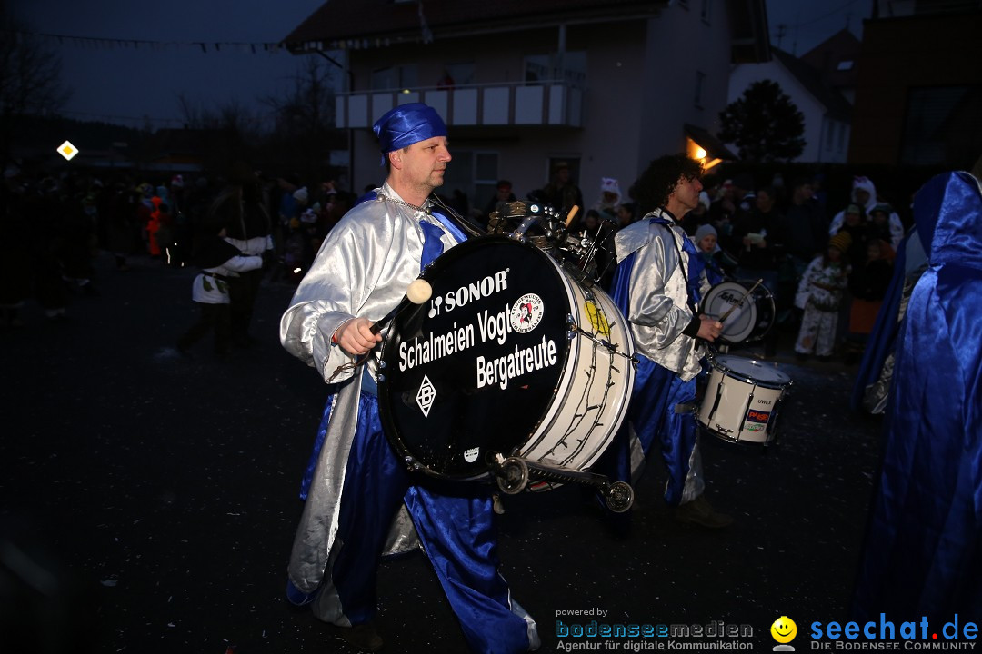 Fasnetsumzug - Fasching: Obereisenbach am Bodensee, 03.02.2018