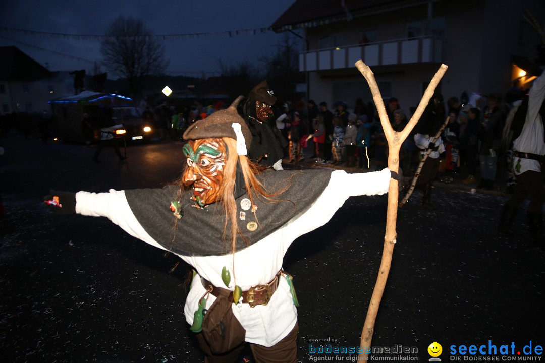 Fasnetsumzug - Fasching: Obereisenbach am Bodensee, 03.02.2018