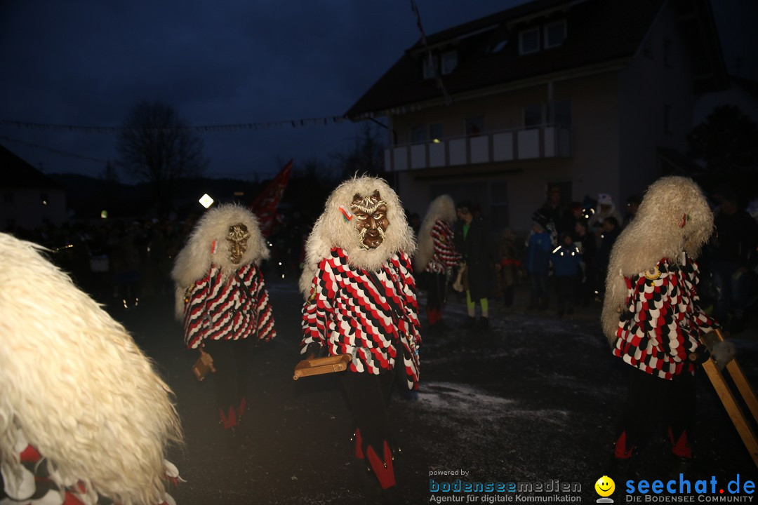 Fasnetsumzug - Fasching: Obereisenbach am Bodensee, 03.02.2018