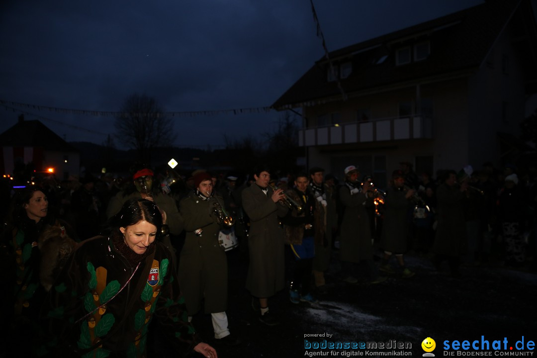 Fasnetsumzug - Fasching: Obereisenbach am Bodensee, 03.02.2018