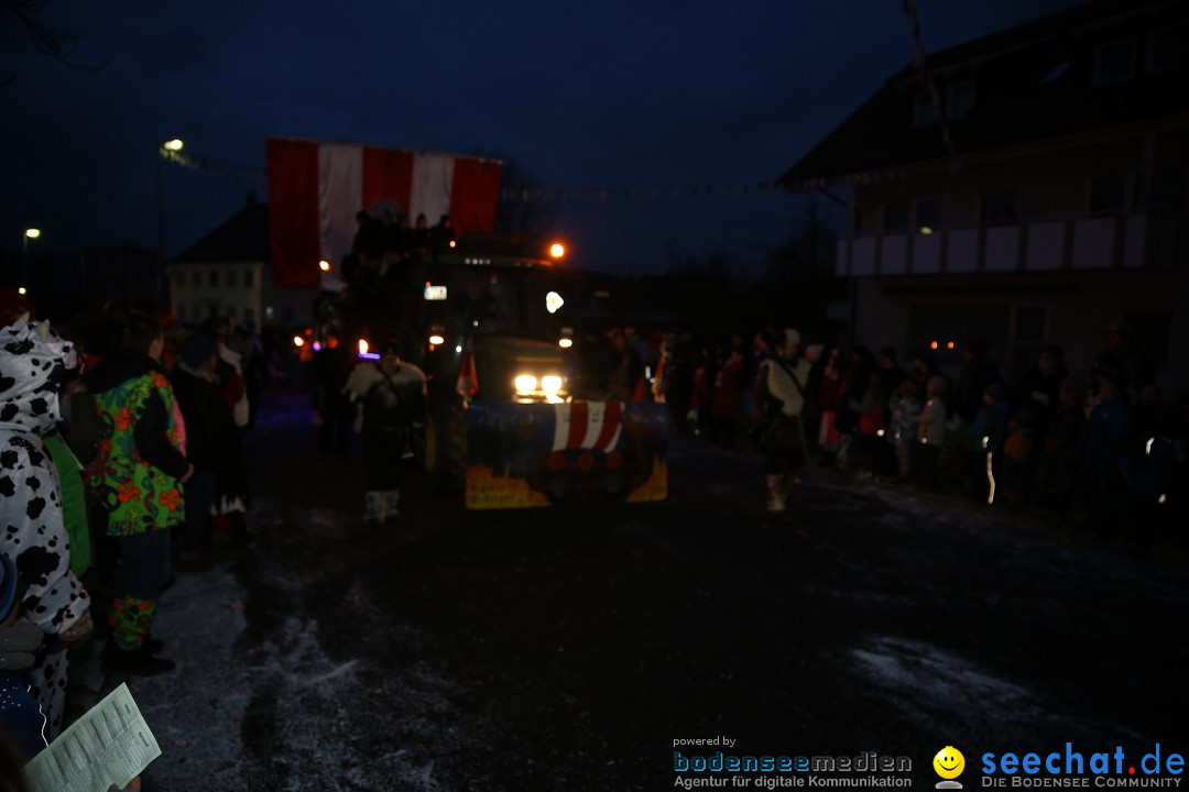 Fasnetsumzug - Fasching: Obereisenbach am Bodensee, 03.02.2018