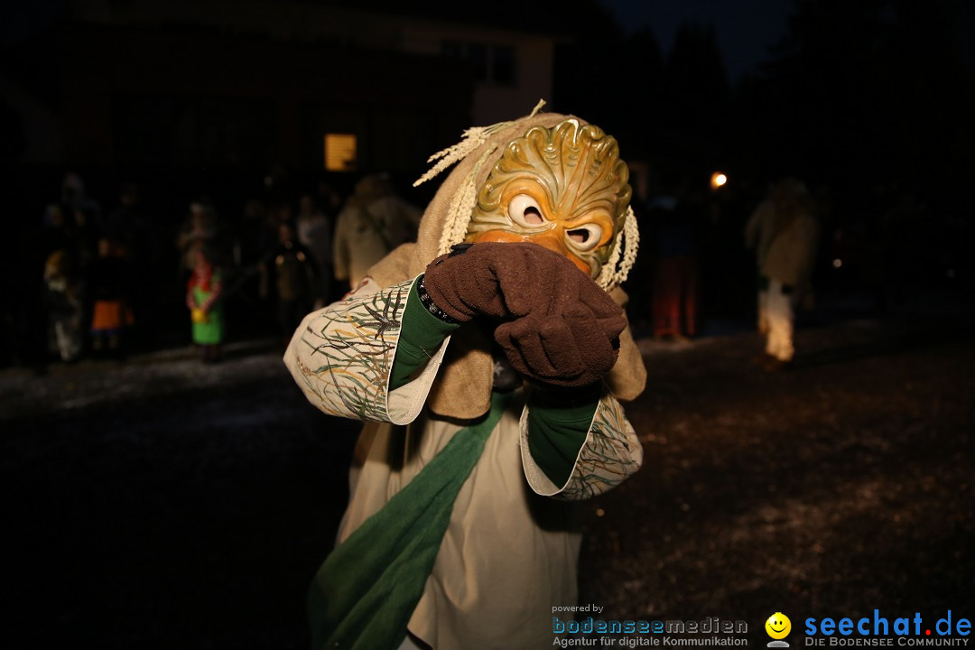 Fasnetsumzug - Fasching: Obereisenbach am Bodensee, 03.02.2018