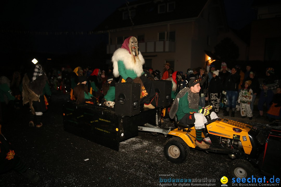 Fasnetsumzug - Fasching: Obereisenbach am Bodensee, 03.02.2018