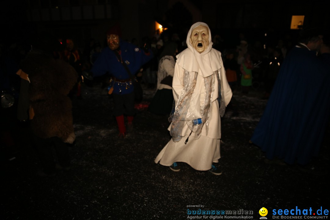 Fasnetsumzug - Fasching: Obereisenbach am Bodensee, 03.02.2018