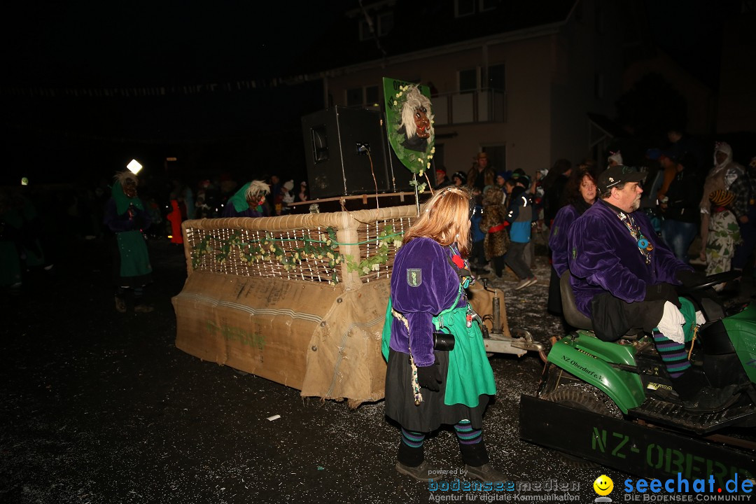 Fasnetsumzug - Fasching: Obereisenbach am Bodensee, 03.02.2018