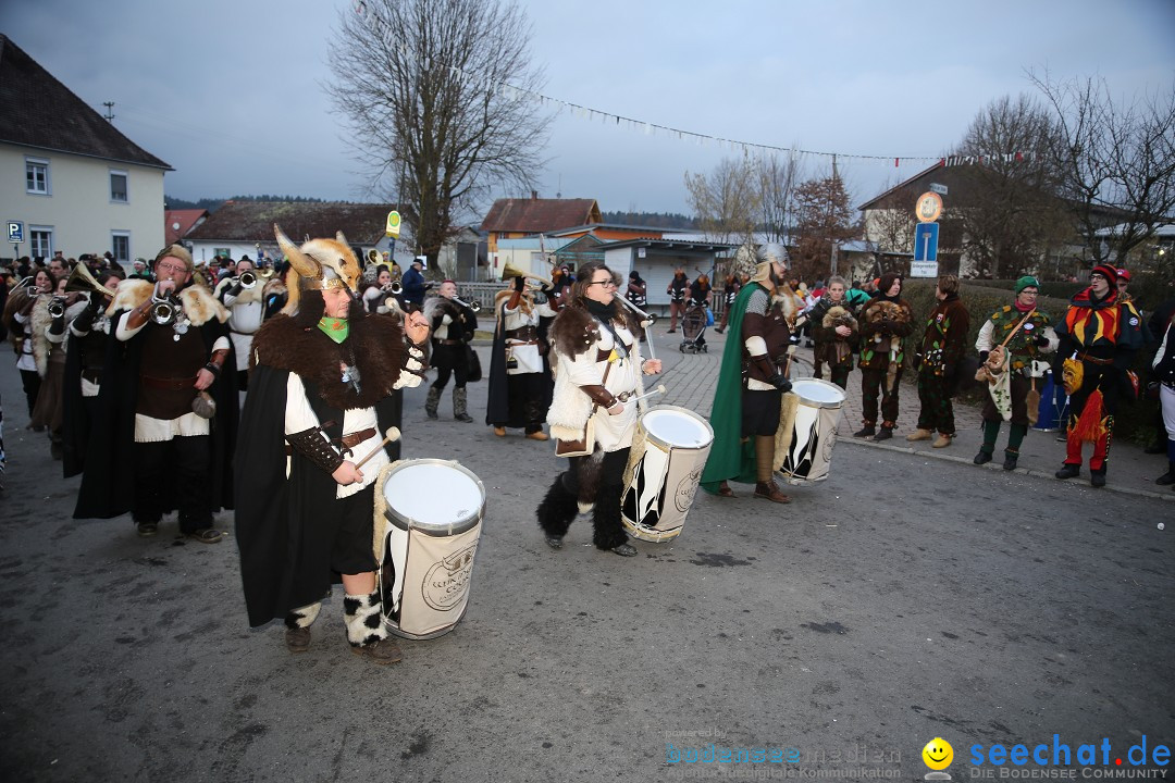 Fasnetsumzug - Fasching: Obereisenbach am Bodensee, 03.02.2018