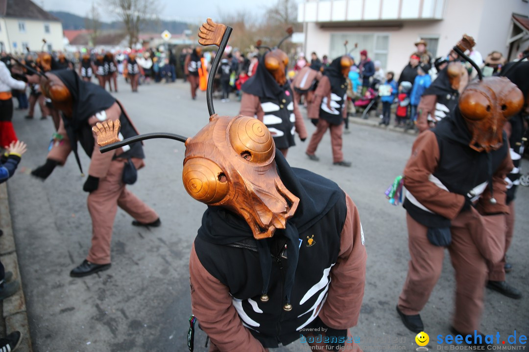 Fasnetsumzug - Fasching: Obereisenbach am Bodensee, 03.02.2018