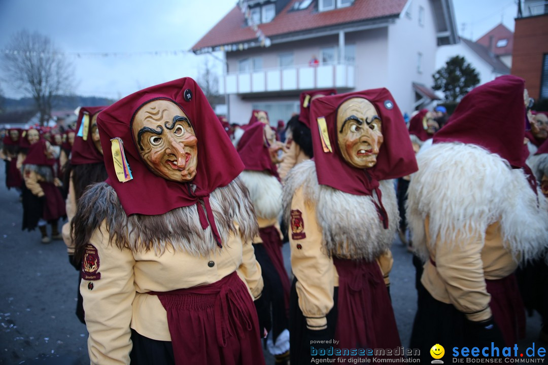 Fasnetsumzug - Fasching: Obereisenbach am Bodensee, 03.02.2018