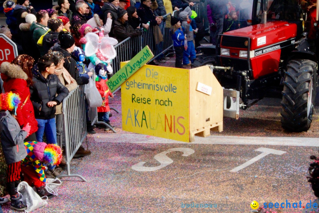 Fasnachtsumzug: Rapperswil am Bodensee - Schweiz, 04.02.2018