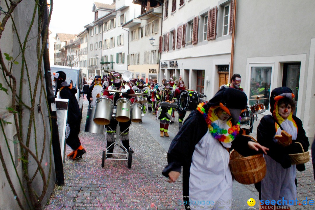 Fasnachtsumzug: Rapperswil am Bodensee - Schweiz, 04.02.2018