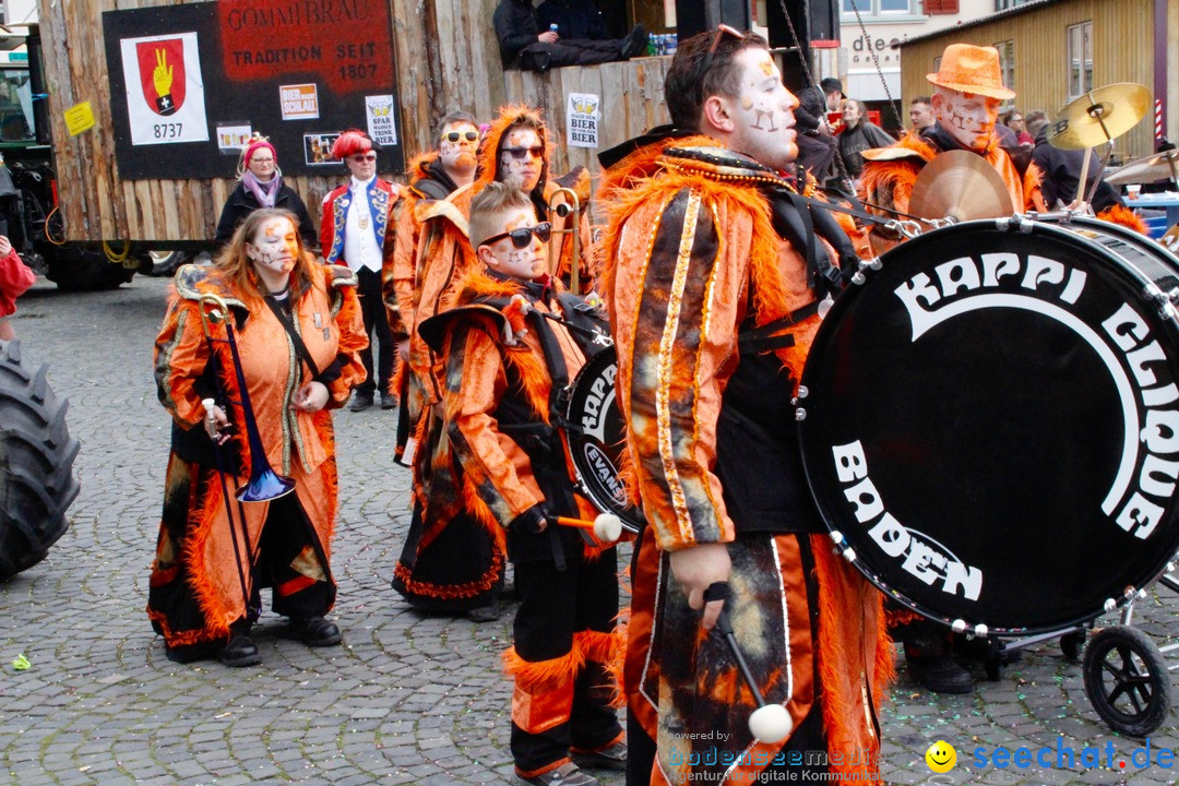 Fasnachtsumzug: Rapperswil am Bodensee - Schweiz, 04.02.2018