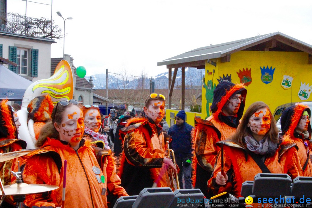 Fasnachtsumzug: Rapperswil am Bodensee - Schweiz, 04.02.2018