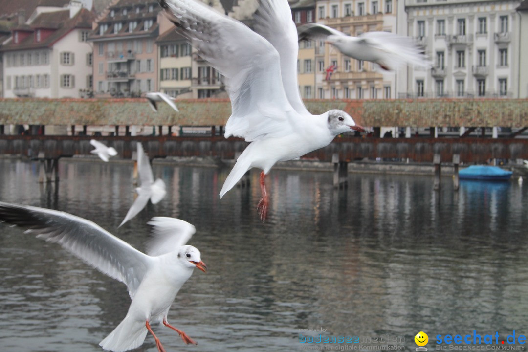 Fasnachtsumzug: Luzern - Schweiz, 08.02.2018