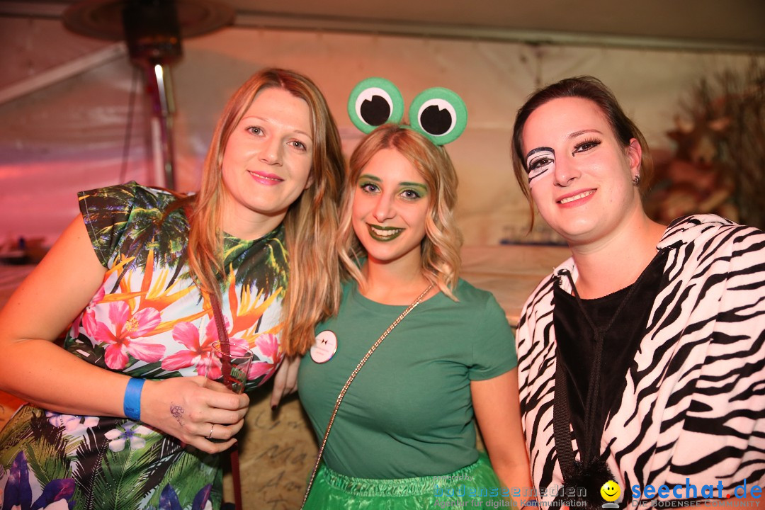 STIERBALL 2018: Party-Band HEAVEN: Wahlwies am Bodensee, 09.02.2018