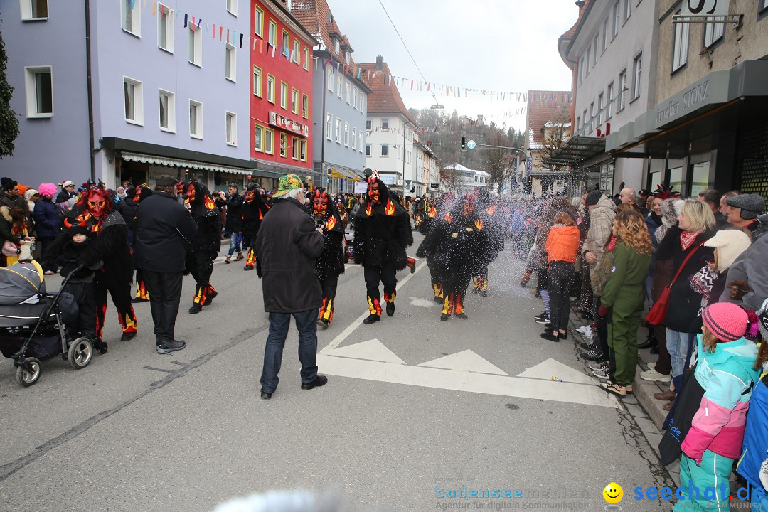 Tuttlinger Fasnetumzug: Tuttlingen am Bodensee, 10.02.2018