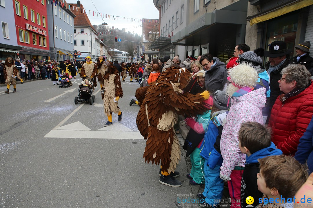 Tuttlinger Fasnetumzug: Tuttlingen am Bodensee, 10.02.2018