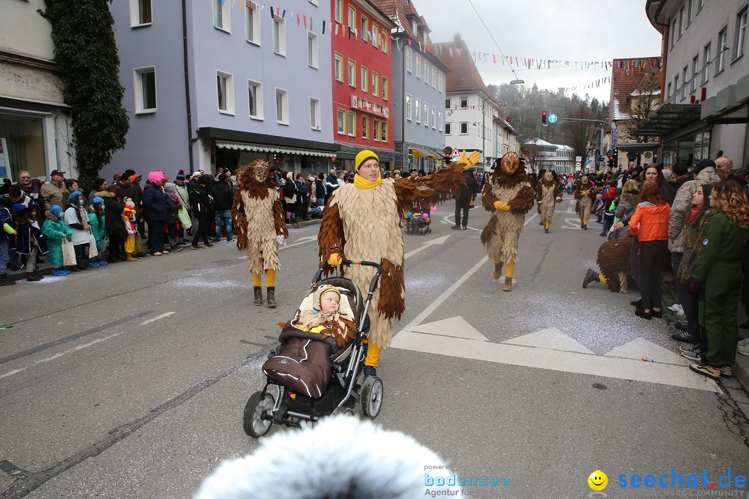 Tuttlinger Fasnetumzug: Tuttlingen am Bodensee, 10.02.2018