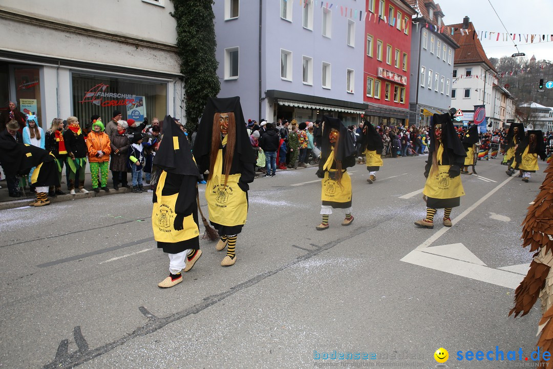 Tuttlinger Fasnetumzug: Tuttlingen am Bodensee, 10.02.2018