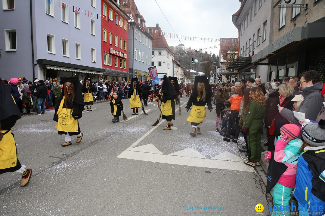 Tuttlinger Fasnetumzug: Tuttlingen am Bodensee, 10.02.2018