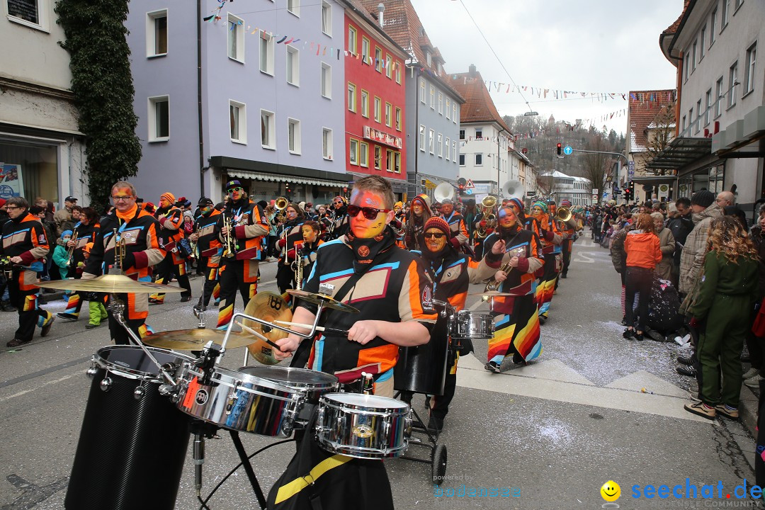 Tuttlinger Fasnetumzug: Tuttlingen am Bodensee, 10.02.2018